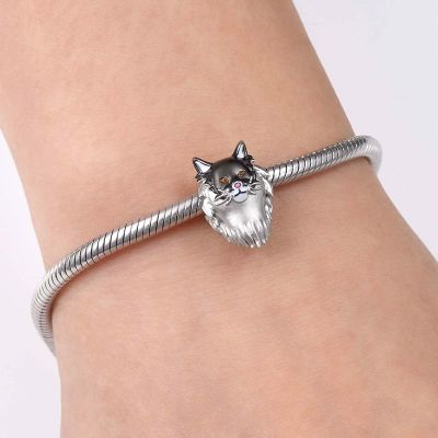 Maine Coon Cat Charm
