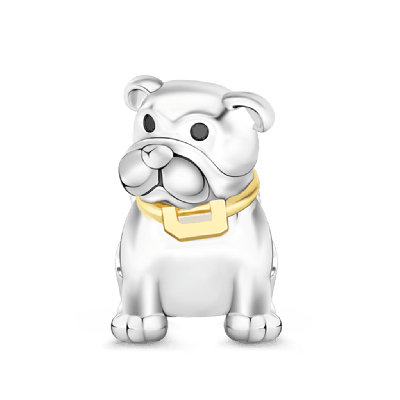 Handsome Bulldog